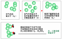 臭氧消毒器的結(jié)構(gòu)是怎樣的？